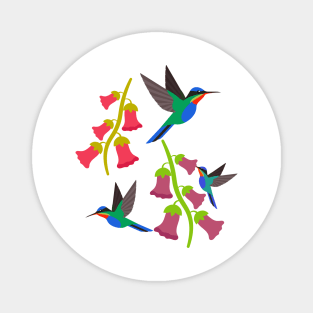 Mountain hummingbirds Magnet